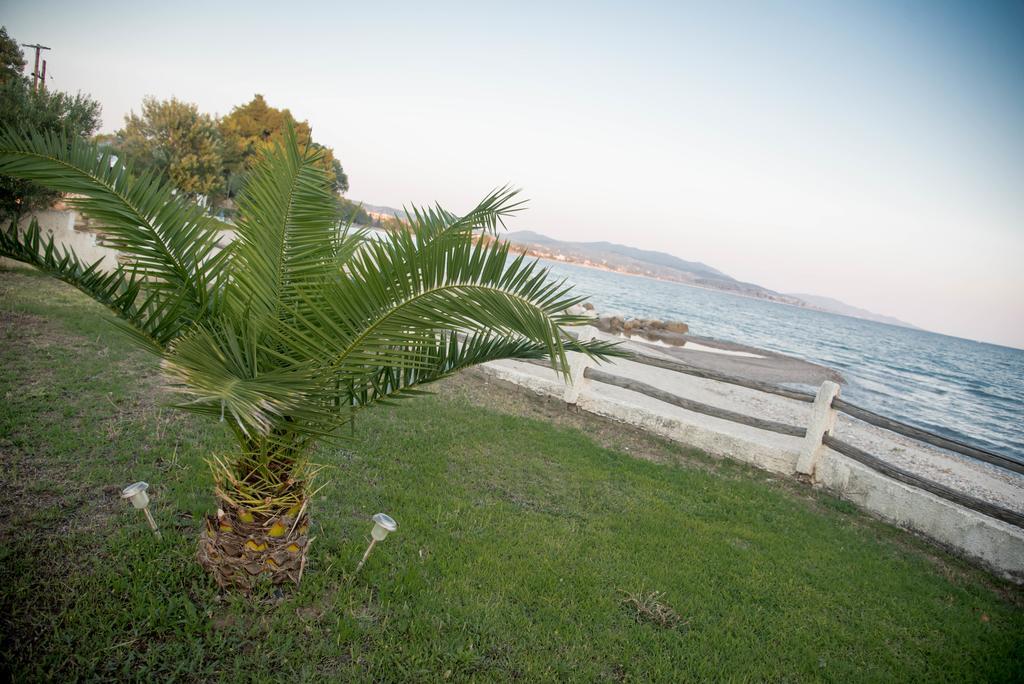 On The Wave Studios Sithonia Exterior foto